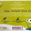 Ampliar imagen: certificate 17