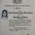 Ampliar imagen: certificate 7