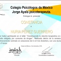 Ampliar imagen: certificate 4