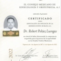 Ampliar imagen: certificate 4