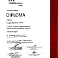 Ampliar imagen: certificate 6