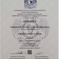 Ampliar imagen: certificate 2