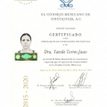 Ampliar imagen: certificate 1