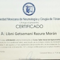 Ampliar imagen: certificate 2