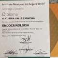 Ampliar imagen: certificate 2