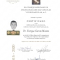Ampliar imagen: certificate 1