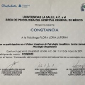 Ampliar imagen: certificate 9