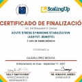 Ampliar imagen: certificate 9