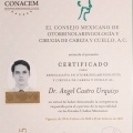 Ampliar imagen: certificate 10