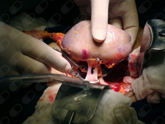 Luis Javier Mateu Rivera-3