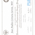 Ampliar imagen: certificate 3