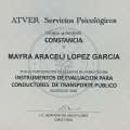Ampliar imagen: certificate 15
