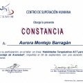 Ampliar imagen: certificate 20