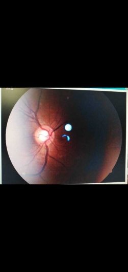 Karla Paola Chaparro Hernández-4