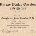 Ampliar imagen: certificate 9