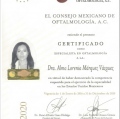 Ampliar imagen: certificate 5