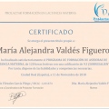 Ampliar imagen: certificate 5
