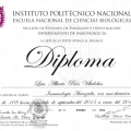 Ampliar imagen: certificate 6