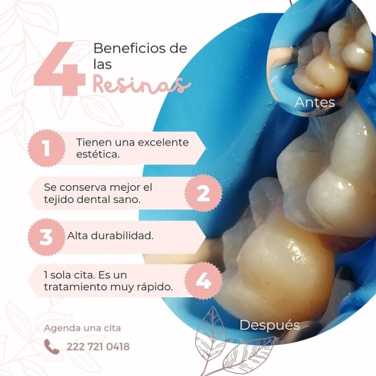 Margarita Estefania Parra Covarrubias-0