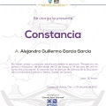Ampliar imagen: certificate 27