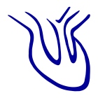 Dr. Juan Carlos Pérez Cancino