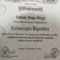 Ampliar imagen: certificate 7