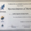 Ampliar imagen: certificate 28