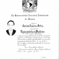 Ampliar imagen: certificate 3