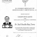 Ampliar imagen: certificate 1