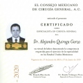 Ampliar imagen: certificate 2