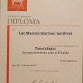 Ampliar imagen: certificate 9