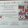 Ampliar imagen: certificate 33