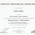 Ampliar imagen: certificate 28