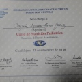 Ampliar imagen: certificate 63