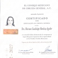 Ampliar imagen: certificate 1