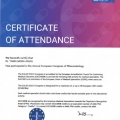 Ampliar imagen: certificate 1