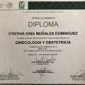 Ampliar imagen: certificate 3