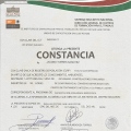 Ampliar imagen: certificate 6