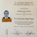 Ampliar imagen: certificate 3