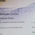 Ampliar imagen: certificate 10