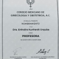 Ampliar imagen: certificate 13