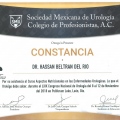 Ampliar imagen: certificate 17