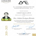 Ampliar imagen: certificate 1