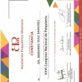 Ampliar imagen: certificate 31