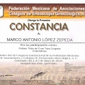 Ampliar imagen: certificate 4