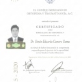 Ampliar imagen: certificate 12
