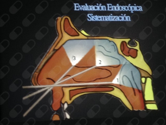 Rafael Gerardo Arroyo Yabur-3