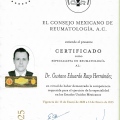 Ampliar imagen: certificate 1