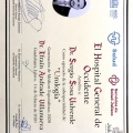 Ampliar imagen: certificate 3