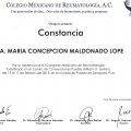 Ampliar imagen: certificate 23